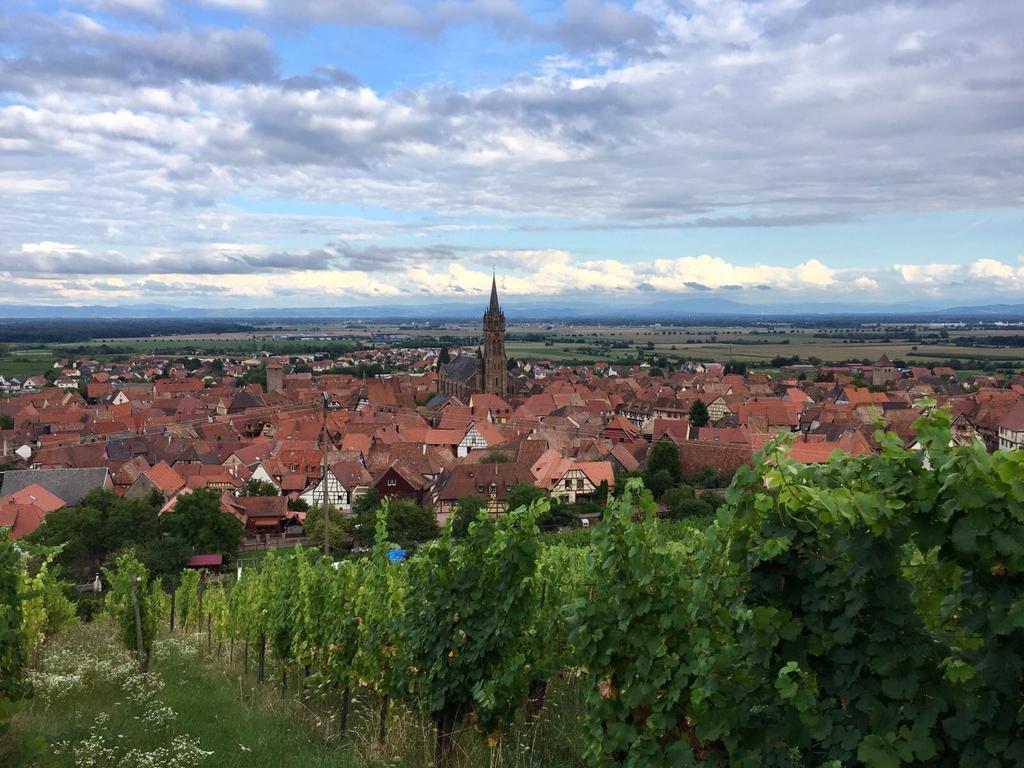 Apartmán La Cour Zaepffel Dambach Exteriér fotografie